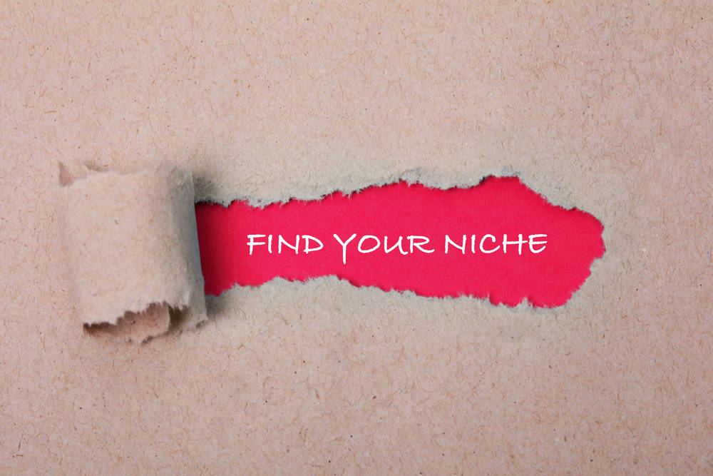 Paper torn to reveal a red background which says "find your niche".